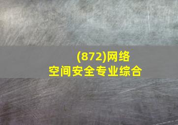 (872)网络空间安全专业综合