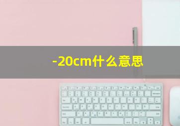 -20cm什么意思