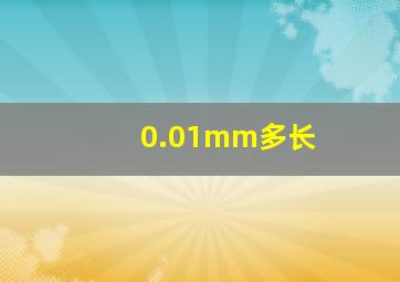 0.01mm多长