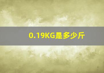 0.19KG是多少斤