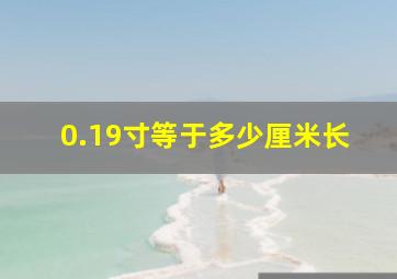 0.19寸等于多少厘米长