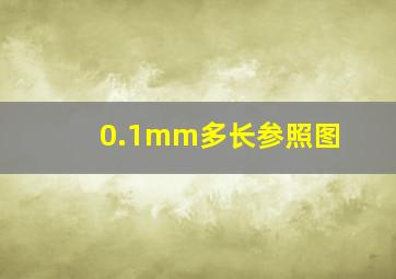 0.1mm多长参照图