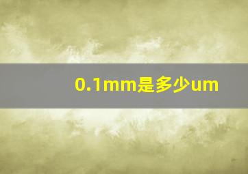 0.1mm是多少um