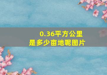 0.36平方公里是多少亩地呢图片