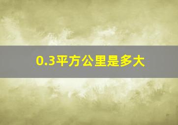 0.3平方公里是多大