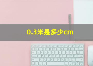 0.3米是多少cm