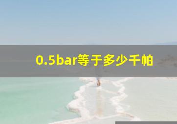 0.5bar等于多少千帕