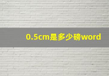 0.5cm是多少磅word