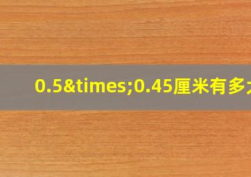 0.5×0.45厘米有多大