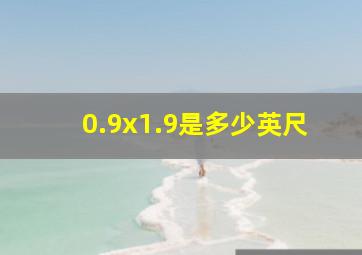 0.9x1.9是多少英尺