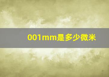 001mm是多少微米