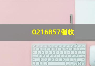 0216857催收