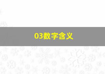 03数字含义