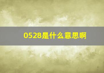 0528是什么意思啊