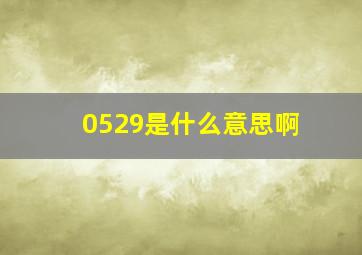 0529是什么意思啊