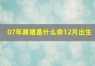 07年属猪是什么命12月出生