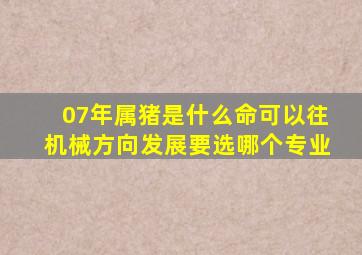 07年属猪是什么命可以往机械方向发展要选哪个专业