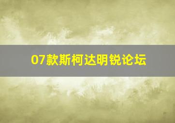 07款斯柯达明锐论坛