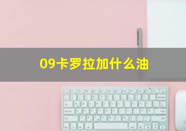 09卡罗拉加什么油