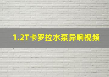 1.2T卡罗拉水泵异响视频