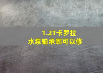 1.2T卡罗拉水泵轴承哪可以修