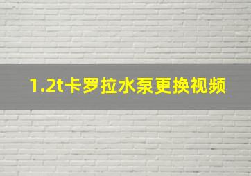 1.2t卡罗拉水泵更换视频