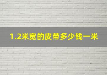 1.2米宽的皮带多少钱一米