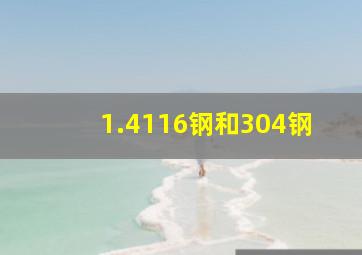 1.4116钢和304钢