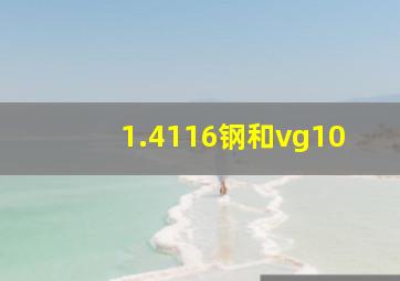 1.4116钢和vg10