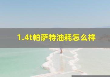 1.4t帕萨特油耗怎么样