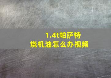 1.4t帕萨特烧机油怎么办视频