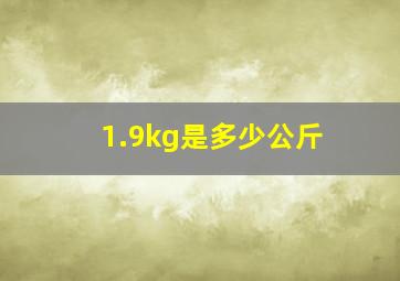 1.9kg是多少公斤