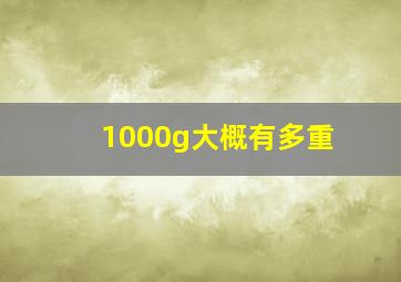 1000g大概有多重