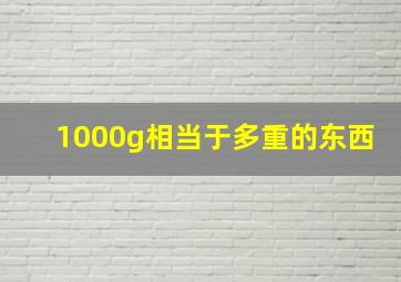 1000g相当于多重的东西