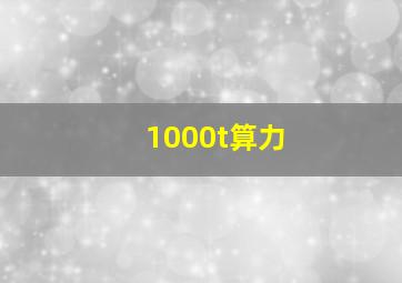 1000t算力