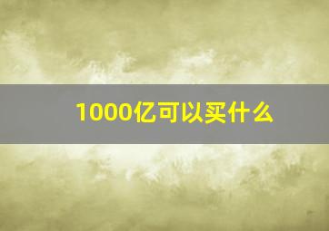 1000亿可以买什么