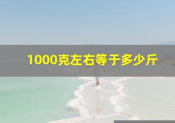 1000克左右等于多少斤