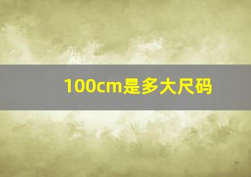 100cm是多大尺码