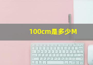 100cm是多少M