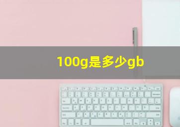 100g是多少gb