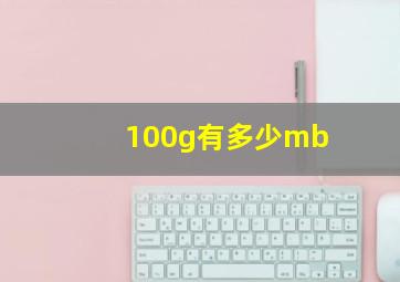 100g有多少mb