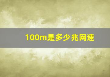 100m是多少兆网速