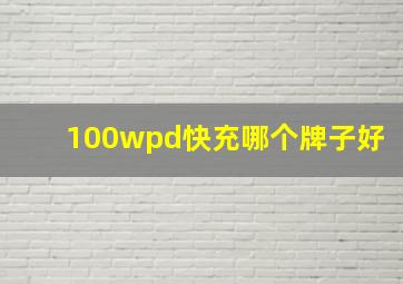 100wpd快充哪个牌子好