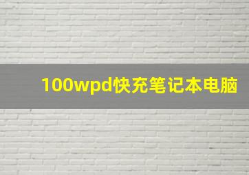 100wpd快充笔记本电脑