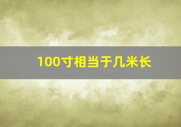 100寸相当于几米长