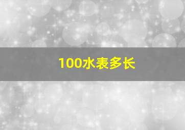 100水表多长