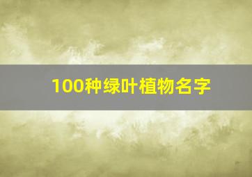 100种绿叶植物名字