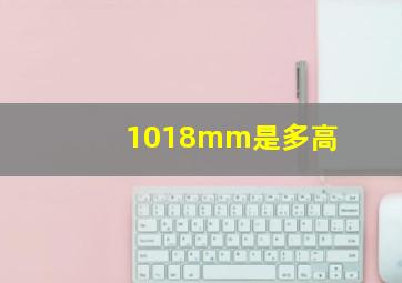 1018mm是多高