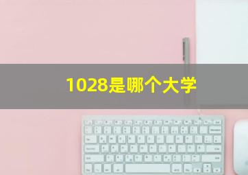 1028是哪个大学