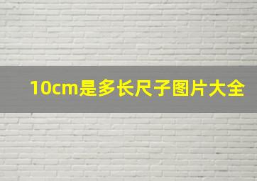 10cm是多长尺子图片大全